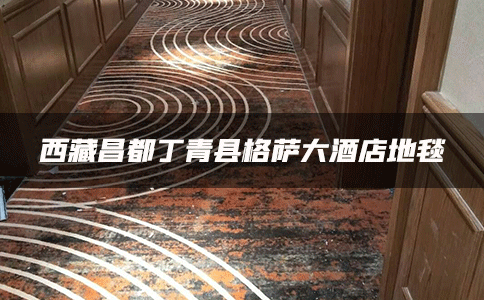 西藏昌都丁青县格萨大酒店地毯